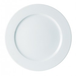 Groot presentatie bord 32 cm (6 stuks)