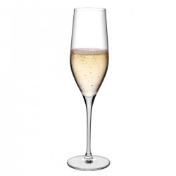 Vinifera champagne glas 255 ml (6 stuks)