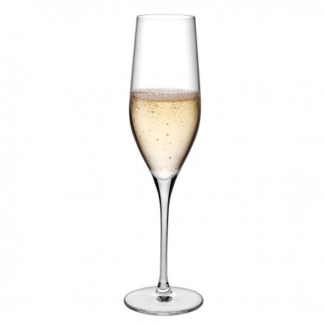 Vinifera champagne glas 255 ml (6 stuks)