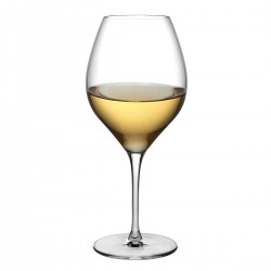 Vinifera witte wijnglas 600 ml (per 6 stuk)