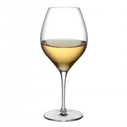 Vinifera witte wijnglas 600 ml (2 stuks)