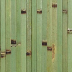 Placemat rechthoekig Bamboo Groen 45 x 33 cm (12 stuks)