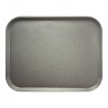 Dienblad 1/1Gn Glasvezel Alu