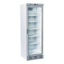 Vrieskast 300L. M/Glas