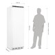 Polar 1-deurs vriezer wit 365ltr
