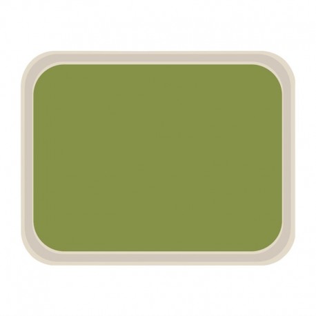 Roltex Original dienblad groen 47x36cm