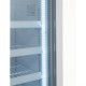Polar display vriezer met lichtkoof 412ltr