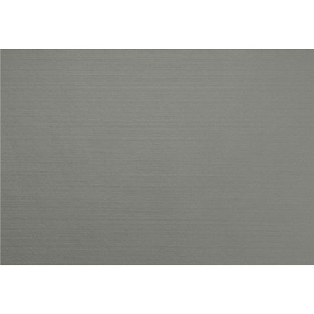 Duni Placemats evolin 30x43cm (350 stuks)