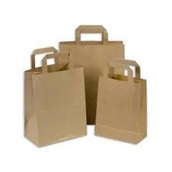 Papieren tassen Groot kraft 32+16x27cm BIO (250st)