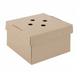 Fiesta Composteerbare Uitklapbare Hamburgerdozen – Bruin Karton (100 Stuks)