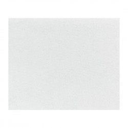 Fiesta Composteerbare Burger Wraps Wit 250x300mm (200 stuks)