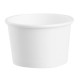 Fiesta recycleerbare ijsbekers wit 85ml – doos 1000 stuks