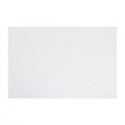 Fiesta Composteerbaar Fish & Chips Papier Wit 500x750mm - 200 stuks