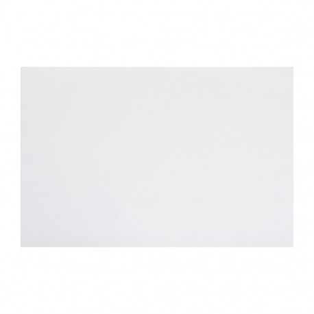 Fiesta Composteerbaar Fish & Chips Papier Wit 500x750mm - 200 stuks
