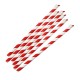 Papieren Rietjes Rood-Wit Gestreept 210x8mm - Fiesta Compostable (250 stuks)