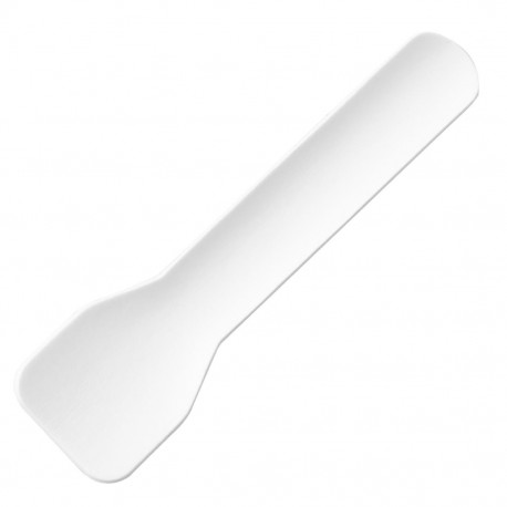 Fiesta Composteerbare Papieren Ijsschepjes 95mm – Doos 100 stuks