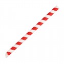 Fiesta Composteerbare Bubble Tea Rietjes Rood & Wit 12x210mm (150 stuks)