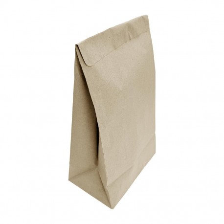 Fiesta Recyclebare Afsluitbare Afhaalzakken Medium – 250 stuks
