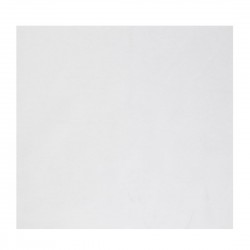 Fiesta Composteerbare Pizzadoos Inlegvellen 305mm – 200 stuks