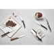 Comas Zermatt Kaasmes 20,5 cm RVS 420 - Set van 6