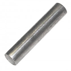 Polar onderste deuraspen RVS – Reserveonderdeel voor GC889
