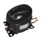 Polar Compressor R600a-LD70CY1 – RVS Reserveonderdeel voor CZ787, PC005 & PC006