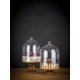 APS Super Dome Polycarbonaat Cloche 300mm – Heldere Buffetstolp