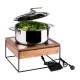APS Buffet Inductiekookplaat 354x325mm - Stijlvolle Warmhouder