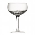 Utopia Botanist Coupé Champagneglas 16 Cl – Set van 6 – Helder Glas