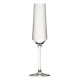 Utopia Murray Champagneglazen 220ml – Set van 6, Helder Glas