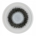 Churchill Studio Prints Fusion Black Bord met Opstaande Rand 25,9 cm - Set van 6