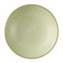 Churchill Stonecast Raw Green Evolve Coupe Schalen 247mm (12 stuks)
