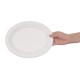 Fiesta Green composteerbare bagasse borden ovaal 198mm (50 stuks)