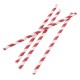 Fiesta Green composteerbare papieren rietjes 210mm rood-wit Individueel verpakt (250 stuks)