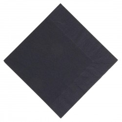 Duni lunchservetten composteerbaar zwart 33cm (1000 stuks)