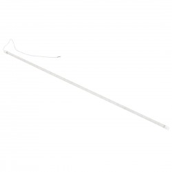 Polar Led Lamp