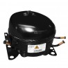 Polar Compressor